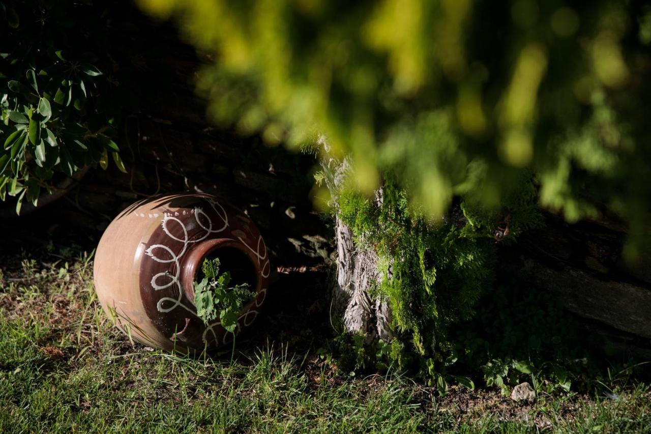 "Palatiana Agriturismo-Philoxenia Cottages", Private Nature Retreats Galini (Naxos) Exterior foto